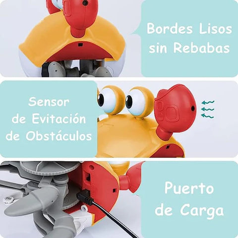 Image of Cangrejo Bailarin interactivo