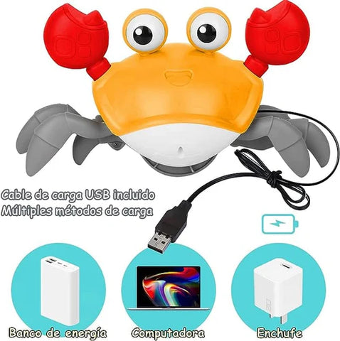 Image of Cangrejo Bailarin interactivo