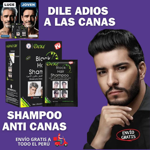 Image of SHAMPOO PINTA CANAS NEGRO Caja /10 Sobres(ORIGINAL)