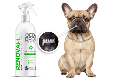 Image of RENOVAPET - ¡Dile adiós al sarro!