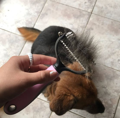 Image of Peine acicalador de mascota