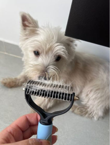Image of Peine acicalador de mascota