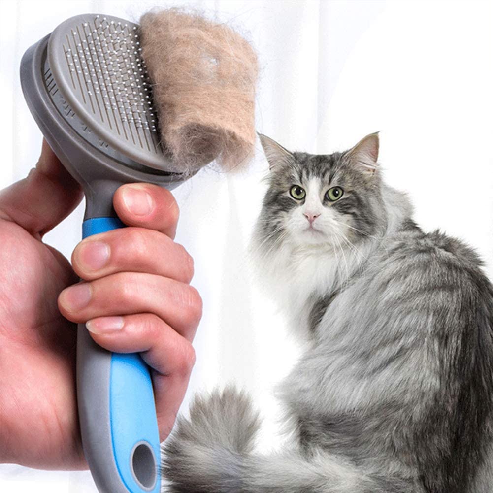 Cepillo para Mascotas