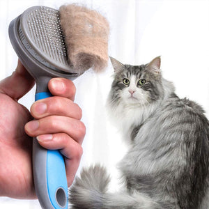 Cepillo para Mascotas-prov